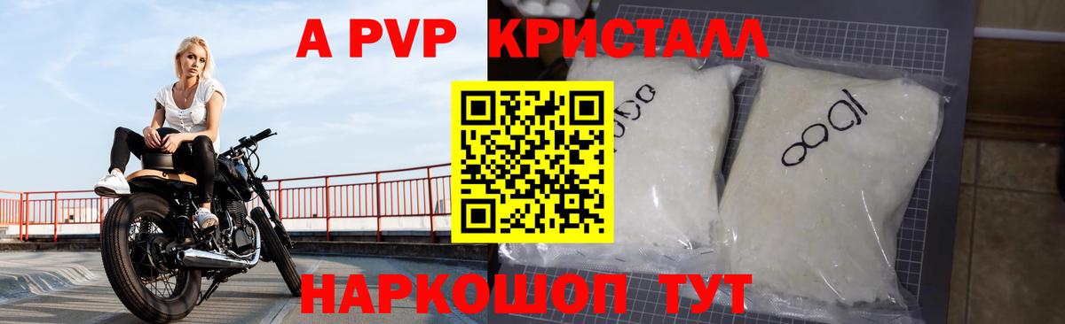A PVP СК Киселёвск