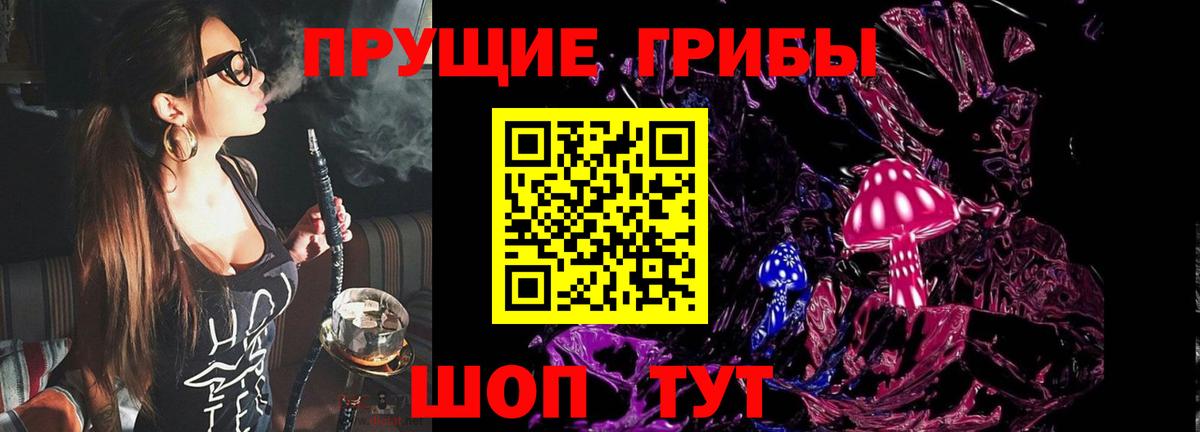 Псилоцибиновые грибы мухоморы Киселёвск